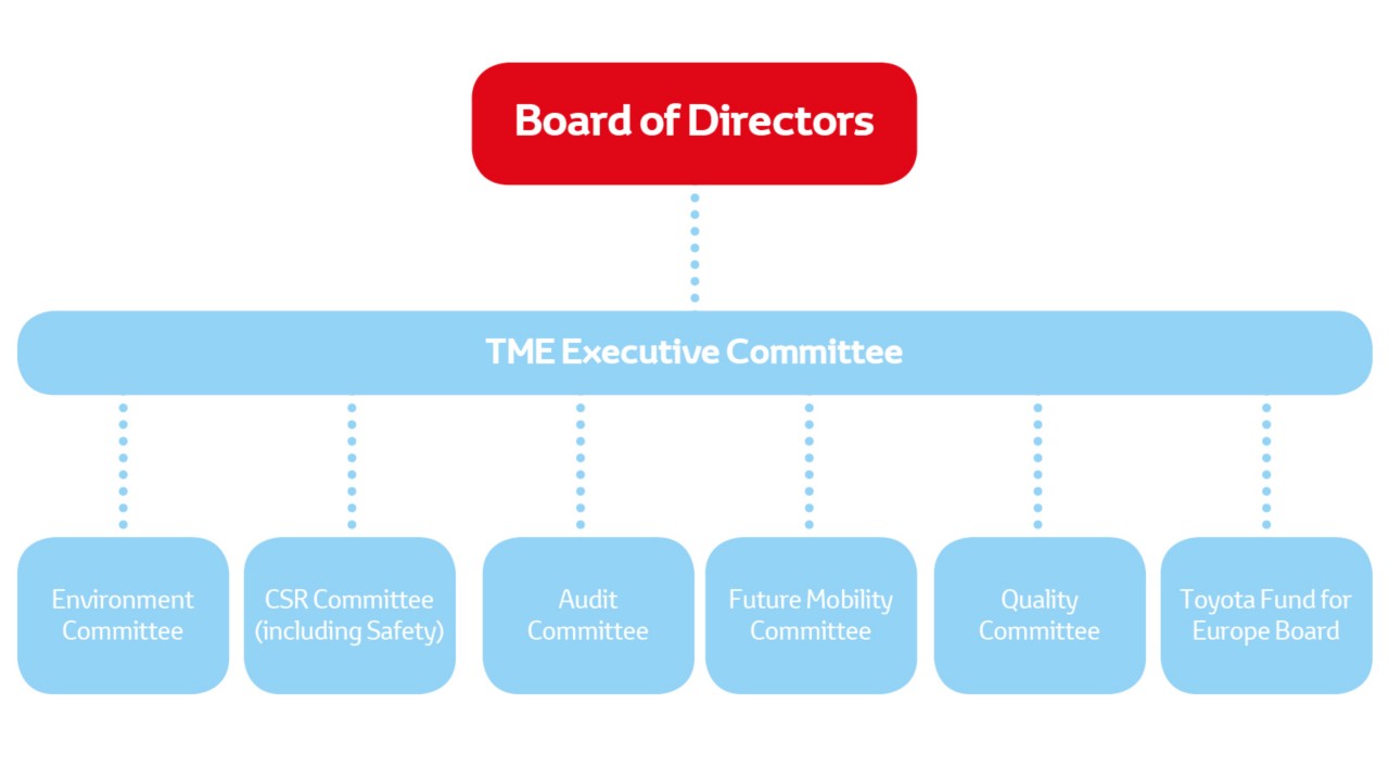 Our governance structure