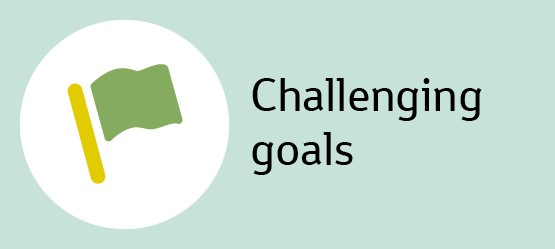 Challenging goals
