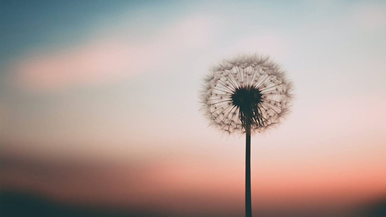 header-sustainability-aleksandr-ledogorov-G-JJy-Yv_dA-unsplash_1600x900